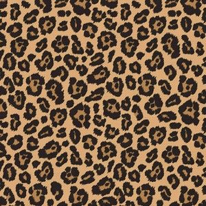 J.Crew Leopard Print A-Line Shift Dress